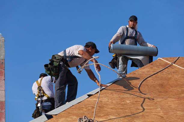 Best Roof Leak Repair  in Tell City, IN